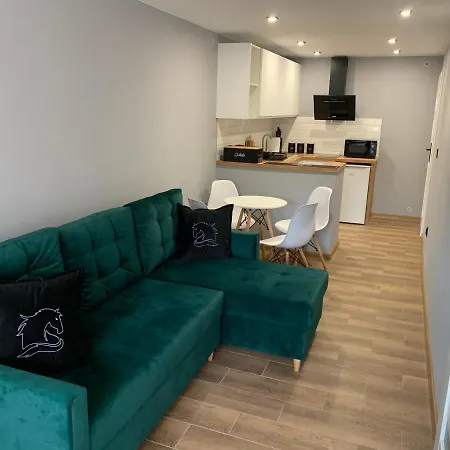 Czarny Kon „black Horse” Apartment Kamienna Gora