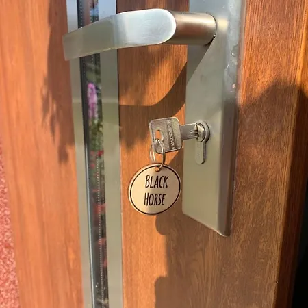 Czarny Kon I Bialy Kon Black Horse & White Horse Apartamento