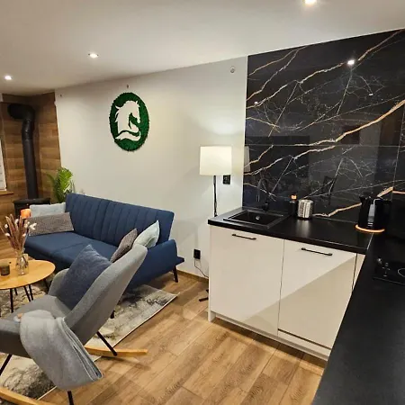Czarny Kon I Bialy Kon Black Horse & White Horse Appartement Kamienna Gora