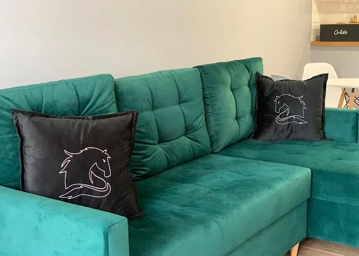 Czarny Kon I Bialy Kon Black Horse & White Horse