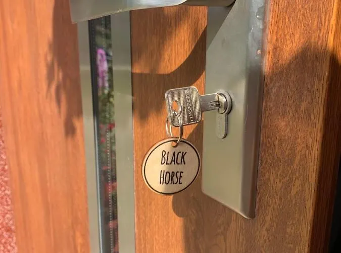 Czarny Kon I Bialy Kon Black Horse & White Horse Διαμέρισμα