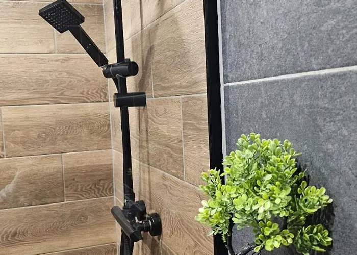 Czarny Kon I Bialy Kon Black Horse & White Horse